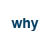 why armadillo